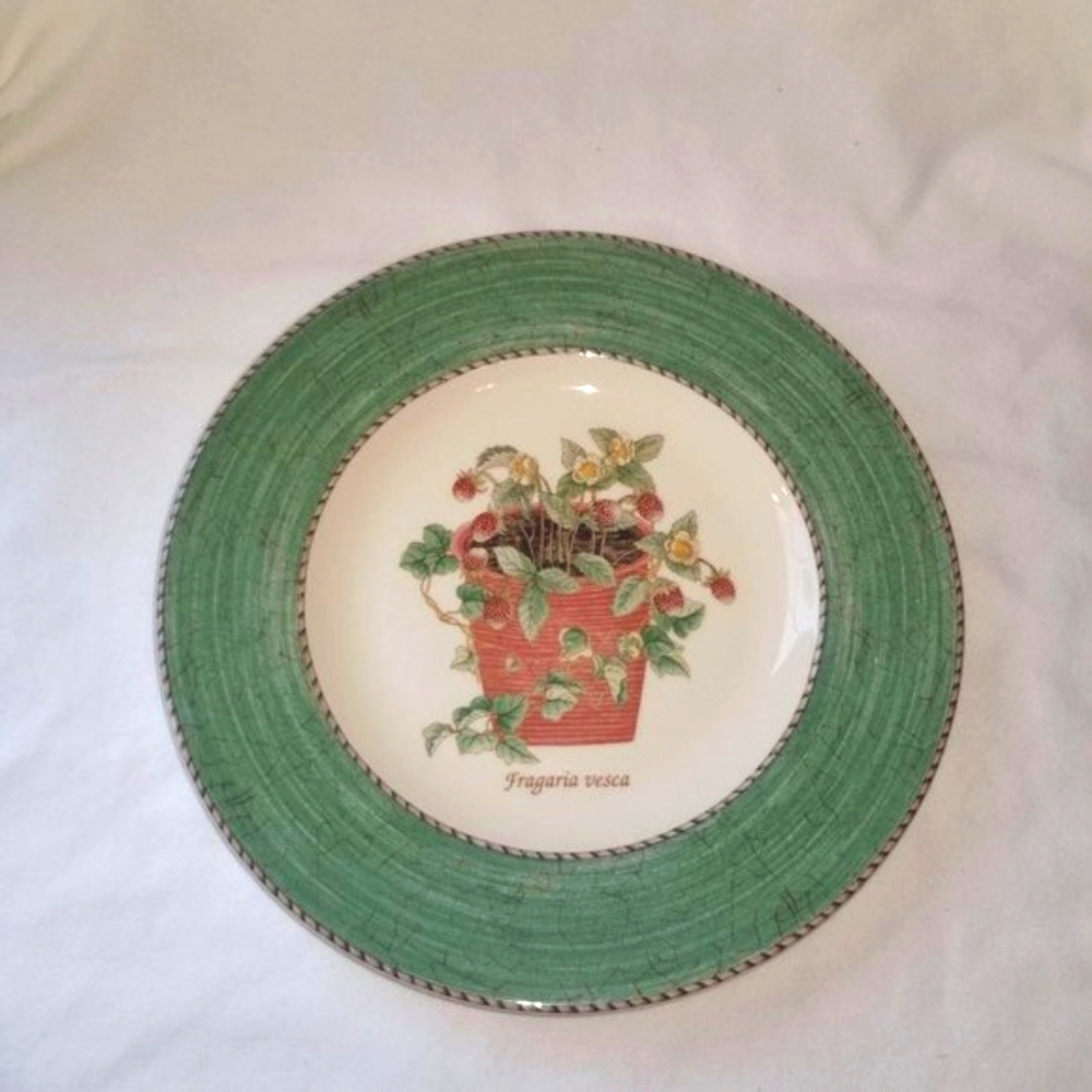 Wedgwood Sarah's Gardens salad plate England